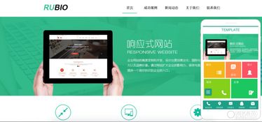 图 专业网站建设 手机app 微信平台开发 软件系统 南宁设计策划